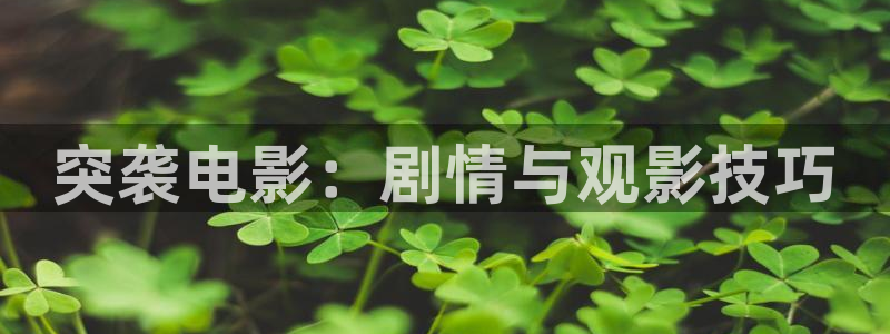 天堂午夜影院：突袭电影：剧情与观影技巧