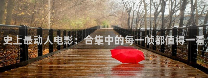 神马影视午夜天堂：史上最动人电影：合集中的每一帧都值得一看
