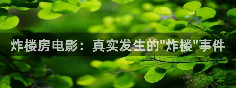 天堂漫官网：炸楼房电影：真实发生的\