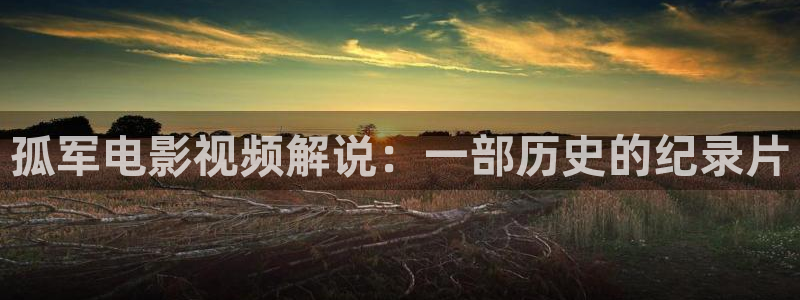 天堂影院在线观看免费高清电视剧：孤军电影视频解说：一部历史的纪录片